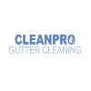 Clean Pro Gutter Cleaning Buffalo